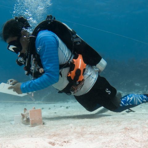 Memoria ecológica: cuidar el mar, preservar la historia