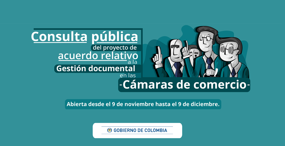 imagen decorativa: consulta pública cámaras