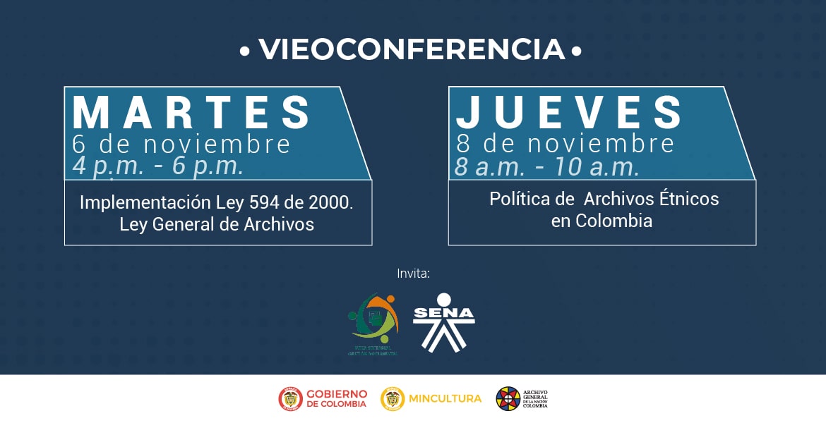 videoconferencia noviembre