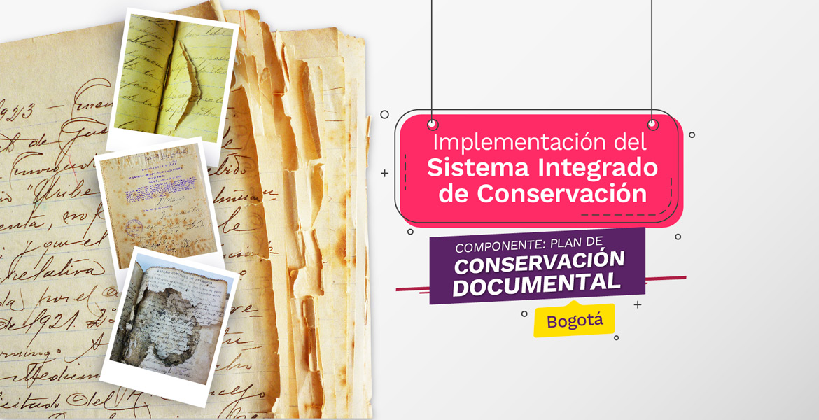 imagen decorativa: imagen taller presencial Plan integrado de conservación 