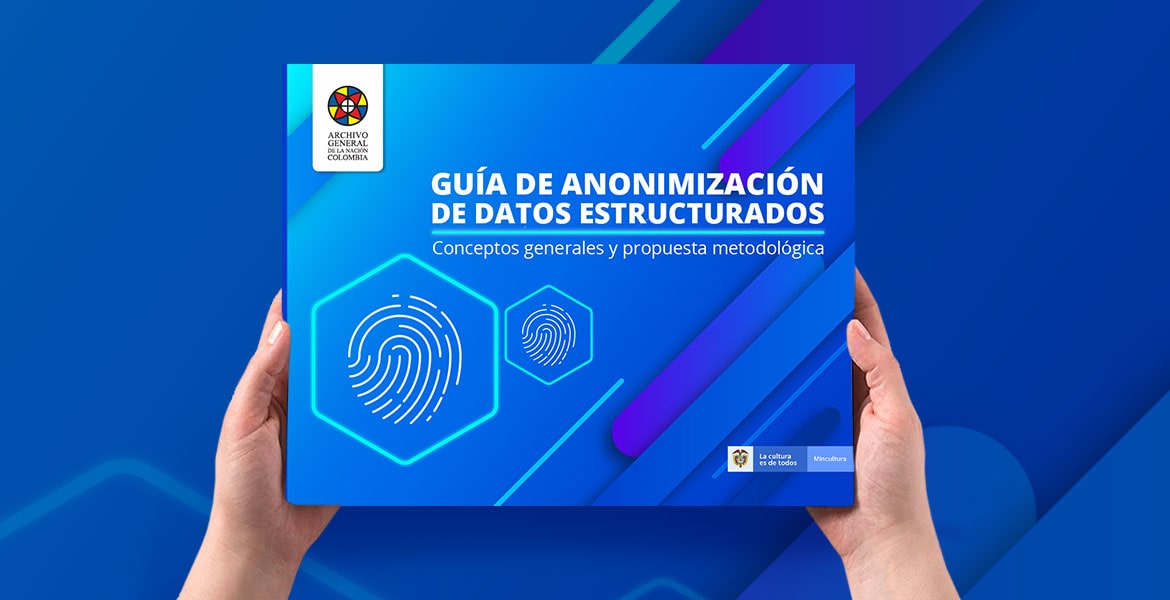 imagen Guía de Anonimización de Datos Estructurados - Conceptos generales y propuesta metodológica