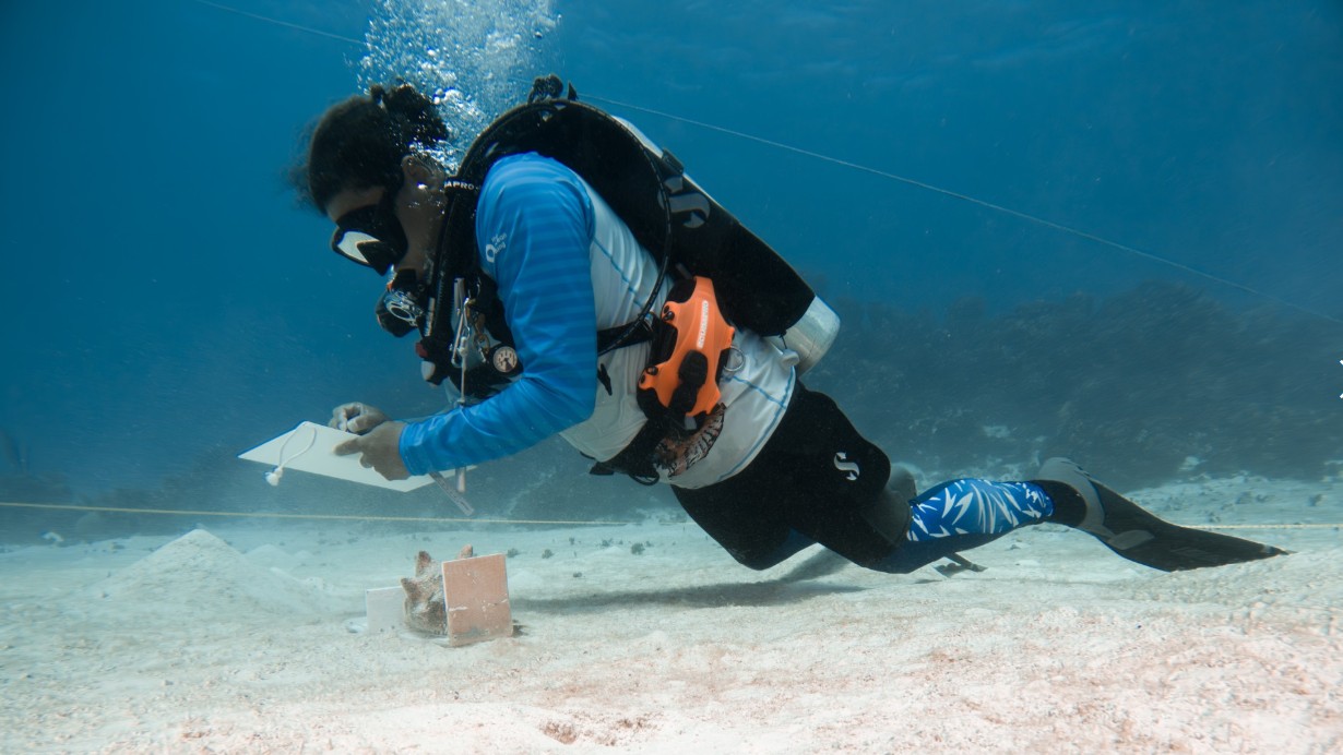Memoria ecológica: cuidar el mar, preservar la historia