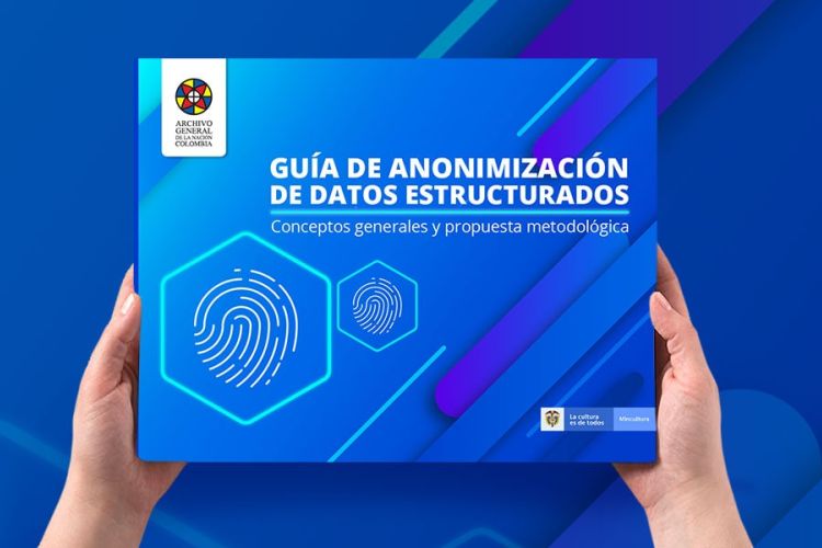 imagen Guía de Anonimización de Datos Estructurados - Conceptos generales y propuesta metodológica