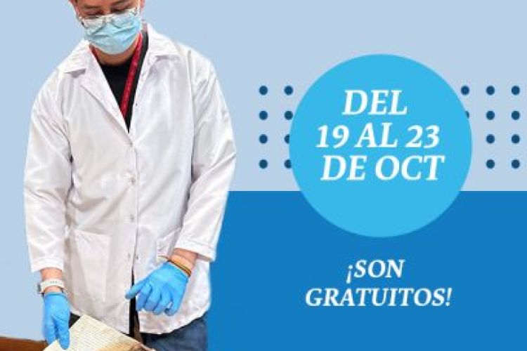 cursos nov 19