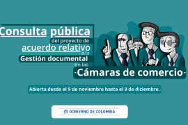 consulta pública cámaras