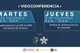 videoconferencia noviembre