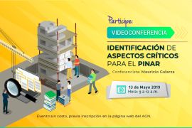 imagen de la videoconferencia PINAR